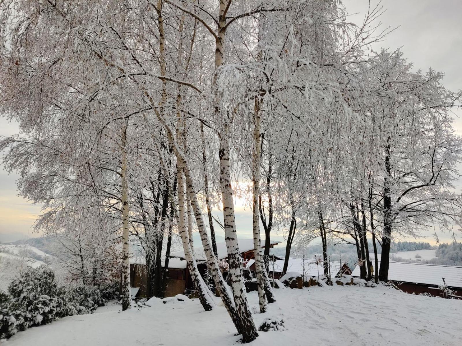 Agroturystyka Faron Rozdziele Extérieur photo